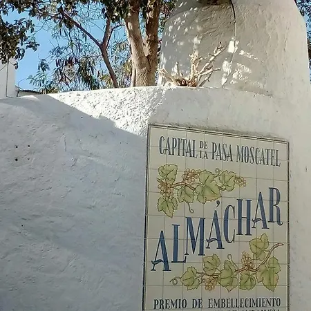 Buena Vista * Almachar